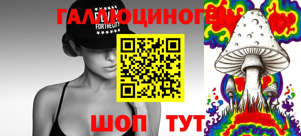 Псилоцибиновые грибы мицелий  Вход с VPN  Невинномысск  Галлюциногенные грибы Psilocybe 